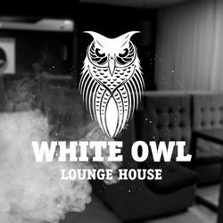 Логотип партнёра сервиса чаевых WHITE OWL