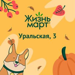 Логотип партнёра сервиса чаевых Жизньмарт Уральская 3