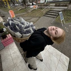 Лолита