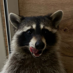 Леонид