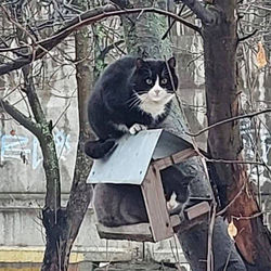 Ооо Виктория