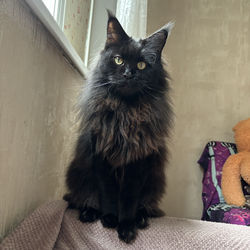 Александра