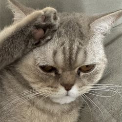 Илья
