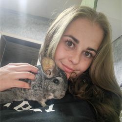 Рига